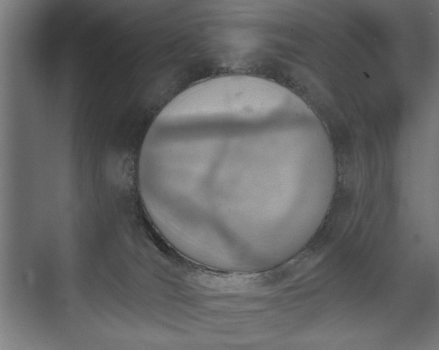 X0000073950036200608281227