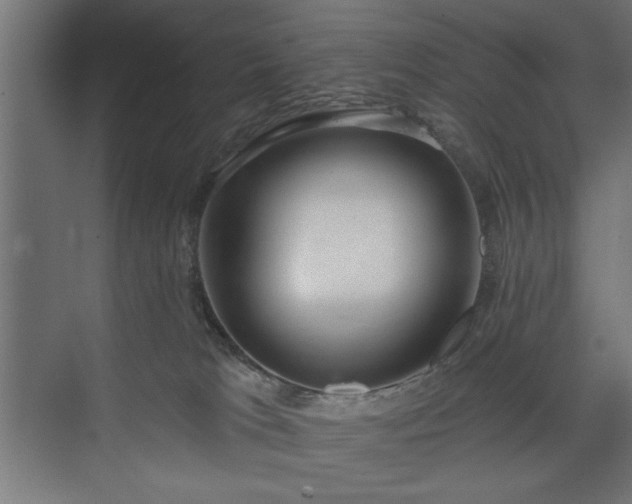 X0000073950037200608281227