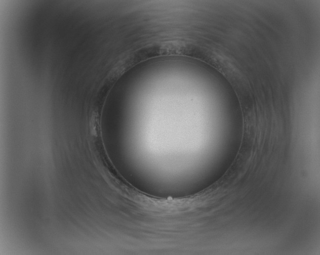 X0000073950038200608281226