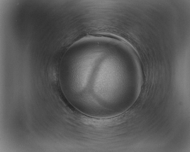 X0000073950039200608281226