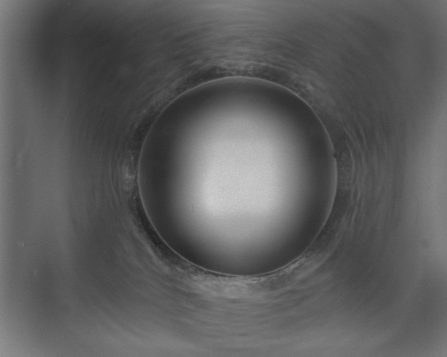 X0000073950040200608281226