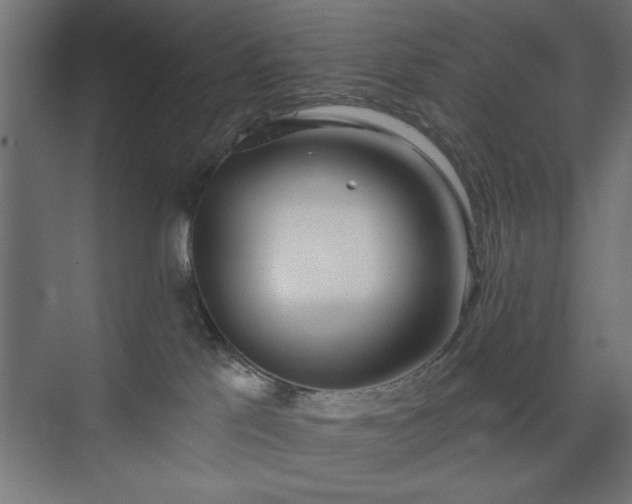 X0000073950041200608281226