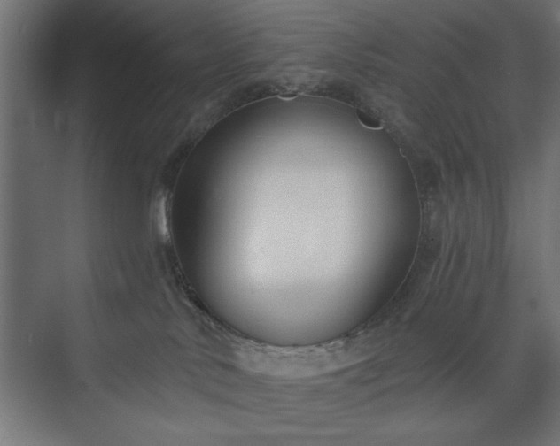 X0000073950042200608281226