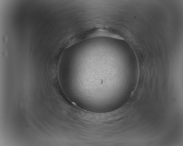 X0000073950043200608281226