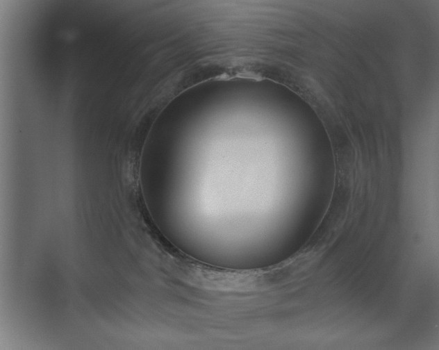 X0000073950044200608281226