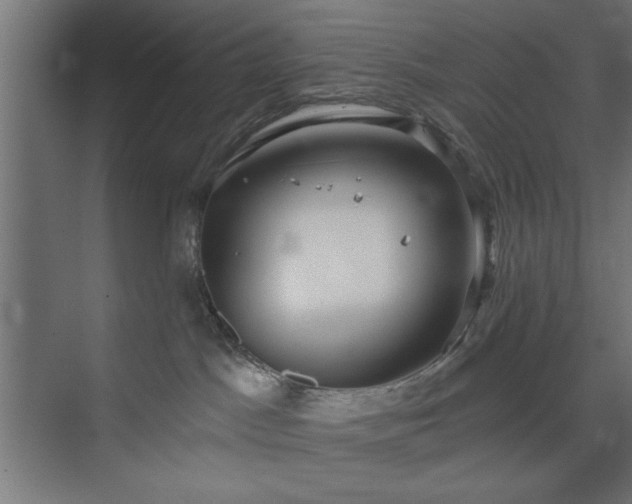 X0000073950045200608281226