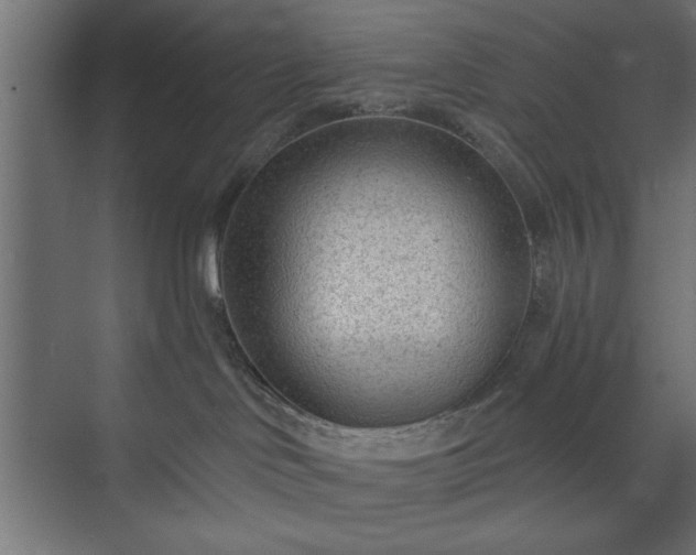 X0000073950046200608281226