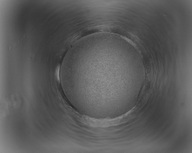 X0000073950047200608281226