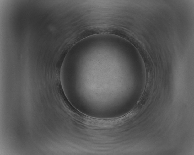 X0000073950048200608281226