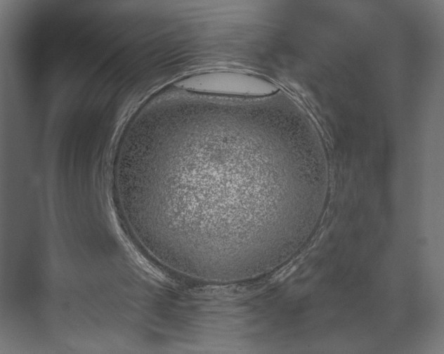 X0000073950049200608281225