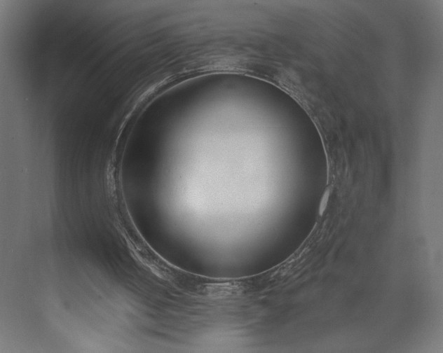 X0000073950050200608281226