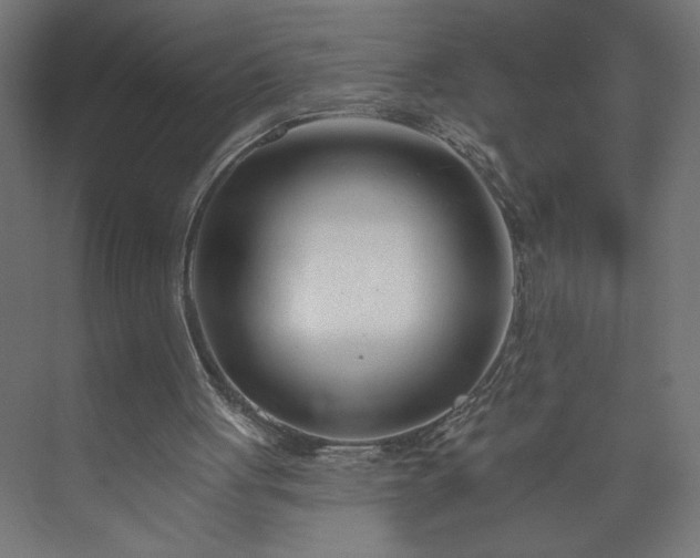 X0000073950051200608281226