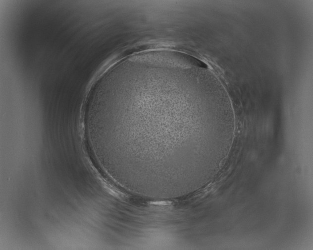 X0000073950053200608281226