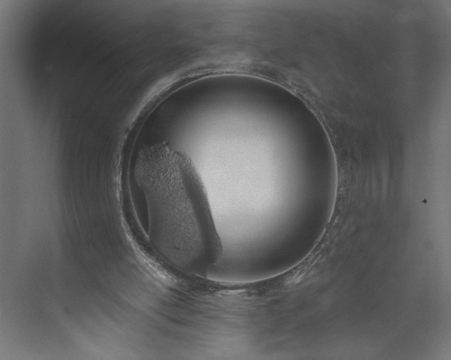 X0000073950054200608281226