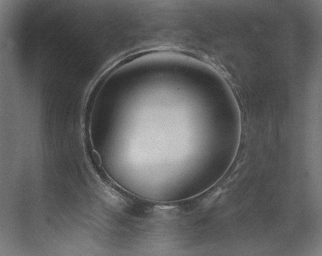 X0000073950055200608281226