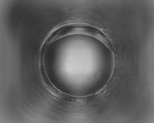 X0000073950056200608281226