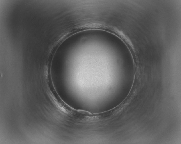 X0000073950057200608281226