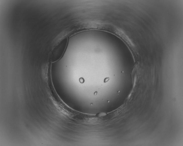 X0000073950058200608281226