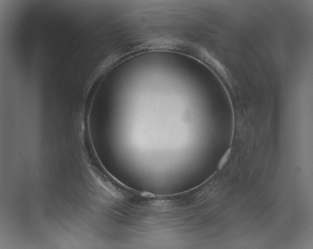 X0000073950059200608281226