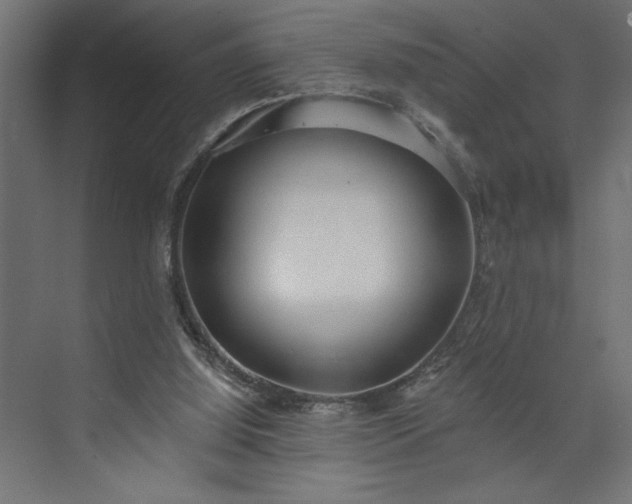 X0000073950060200608281226