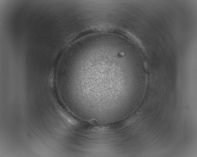 X0000073950065200608281226