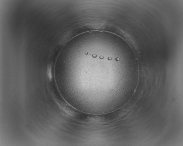 X0000073950069200608281226