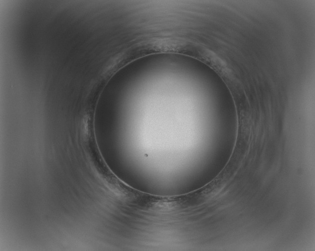 X0000073950071200608281226