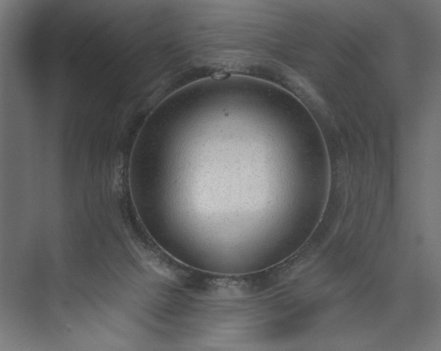 X0000073950073200608281226