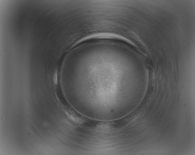 X0000073950076200608281226