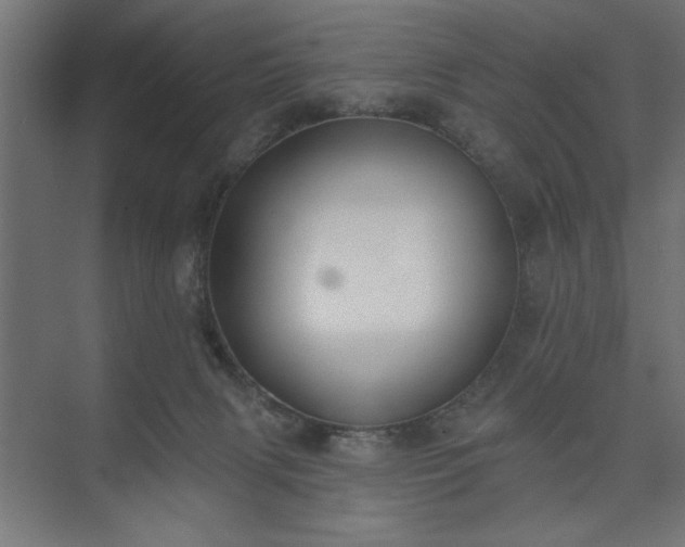 X0000073950079200608281226