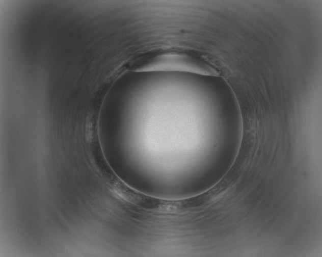 X0000073950080200608281226