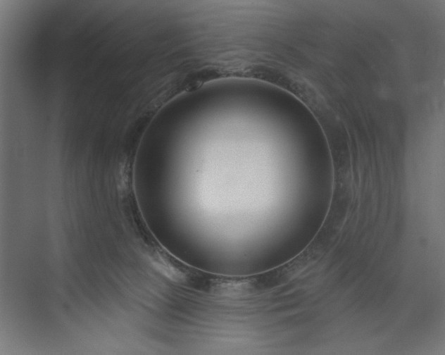 X0000073950081200608281226