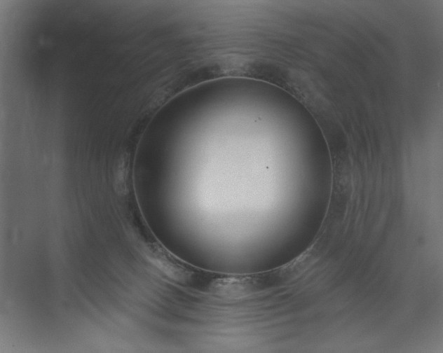 X0000073950082200608281226