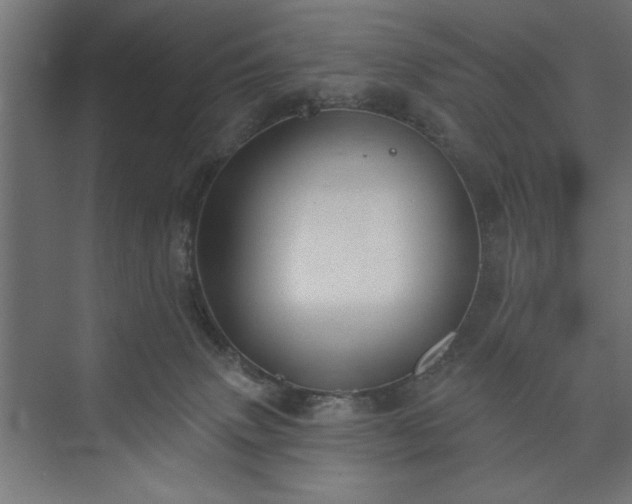 X0000073950083200608281226