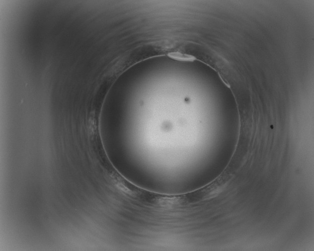 X0000073950085200608281226