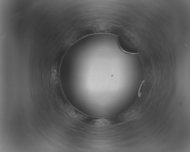 X0000073950087200608281226