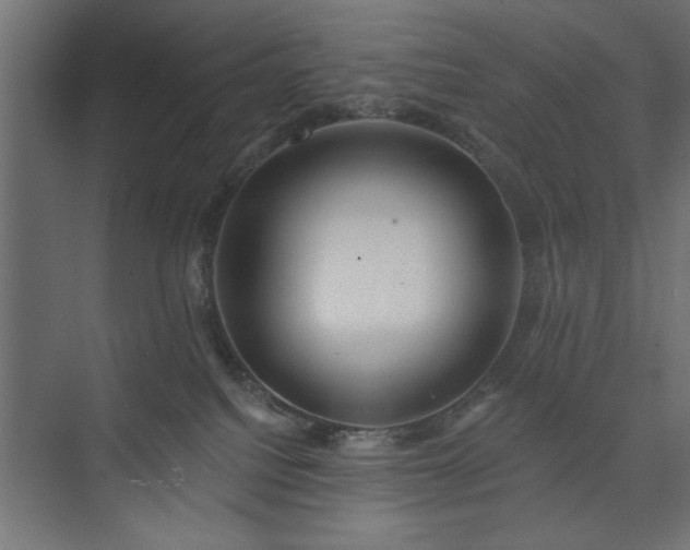 X0000073950088200608281226