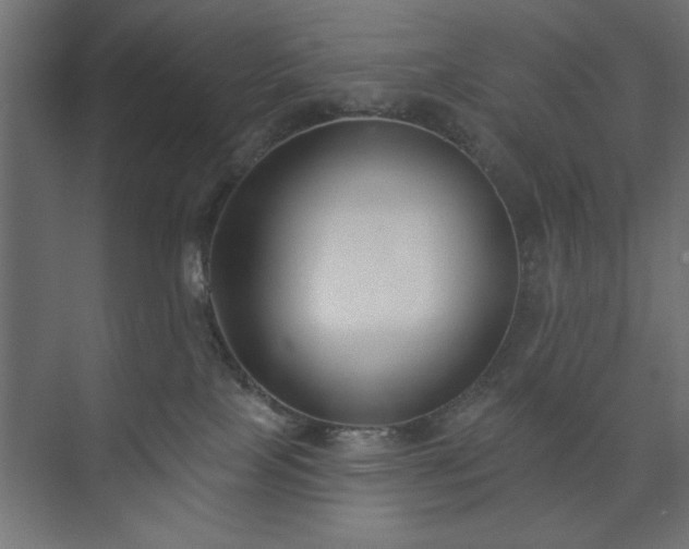 X0000073950089200608281226