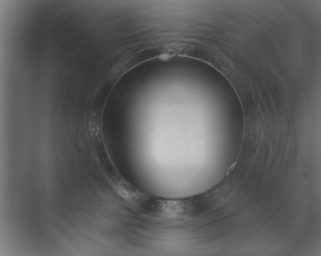 X0000073950091200608281226