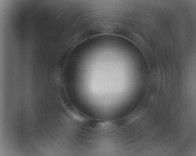 X0000073950092200608281226