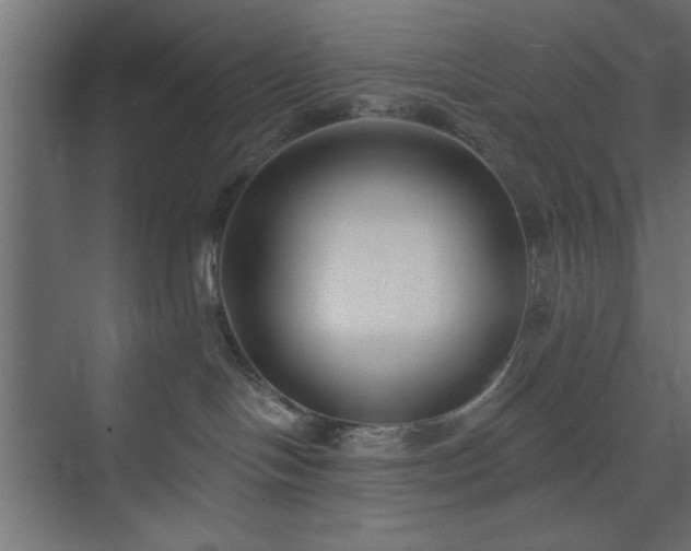 X0000073950094200608281226