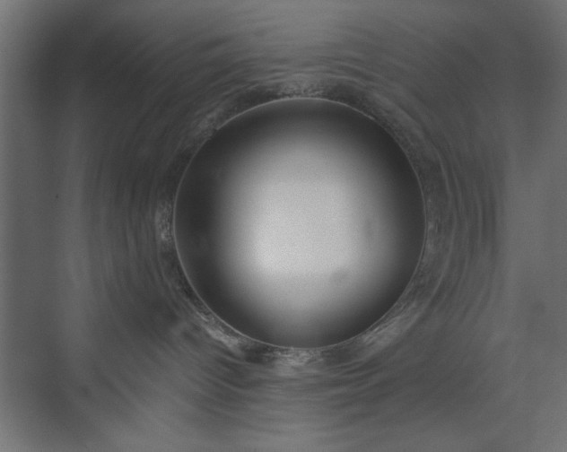 X0000073950096200608281226