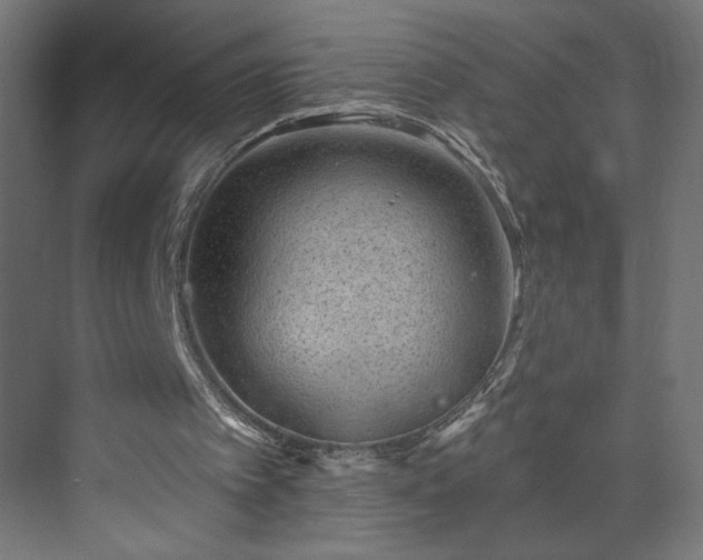 X0000073950097200608281225