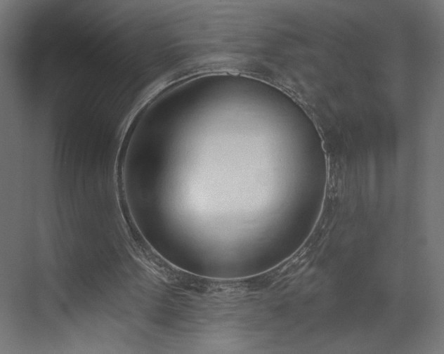 X0000073950099200608281225