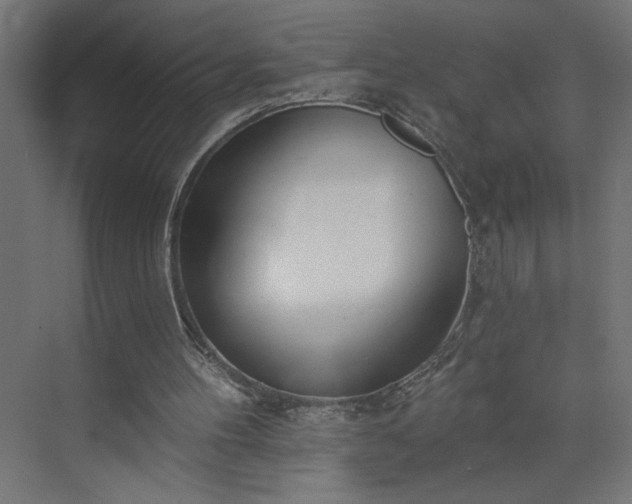 X0000073950100200608281225