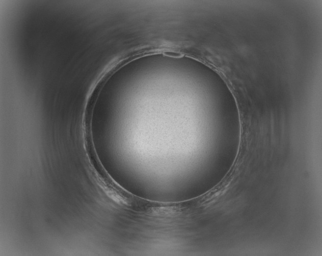 X0000073950102200608281225