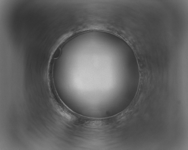 X0000073950104200608281225