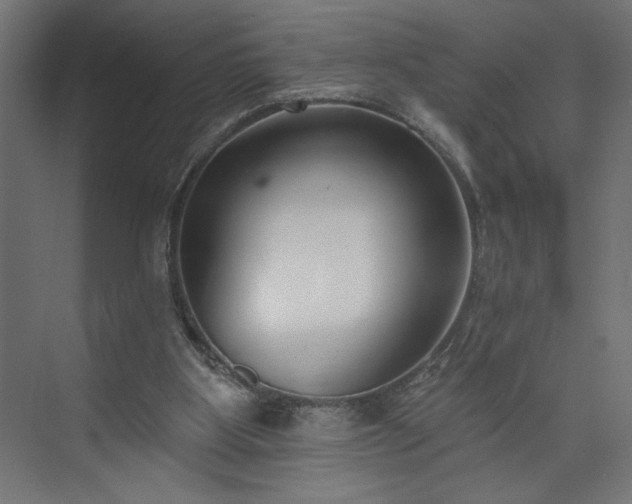 X0000073950107200608281225