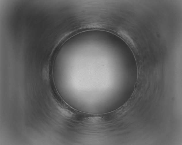 X0000073950108200608281225