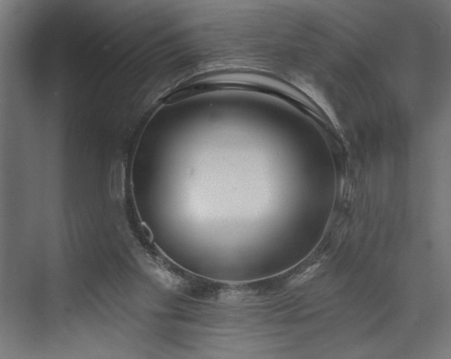 X0000073950109200608281225